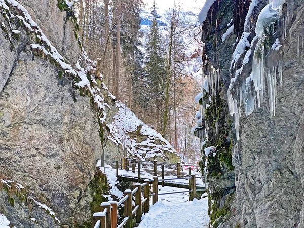 Idillio Invernale Nevoso Nel Canyon Del Fiume Thur Die Schlucht — Foto Stock