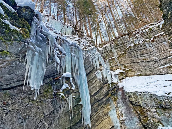 Atemberaubende Eiszapfen Der Schlucht Des Flusses Thur Der Siedlung Unterwasser — Stockfoto
