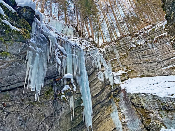 Superbes Glaces Hiver Dans Canyon Rivière Thur Die Schlucht Des — Photo