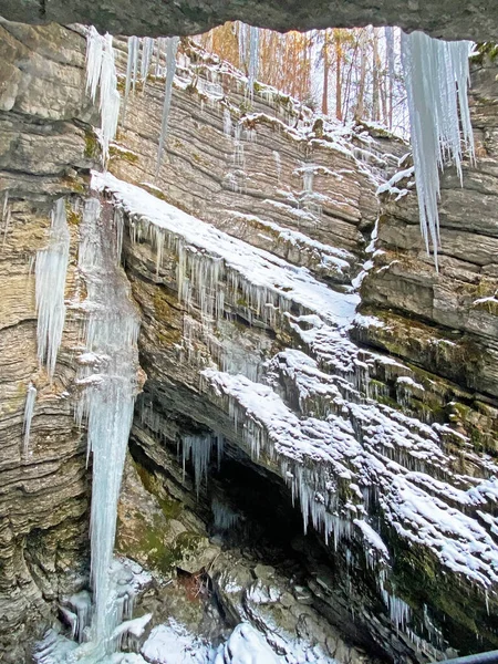 Superbes Glaces Hiver Dans Canyon Rivière Thur Die Schlucht Des — Photo