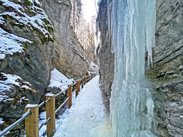 Ciclos Inverno Deslumbrantes Desfiladeiro Rio Thur Die Schlucht Des Flusses — Fotografia de Stock