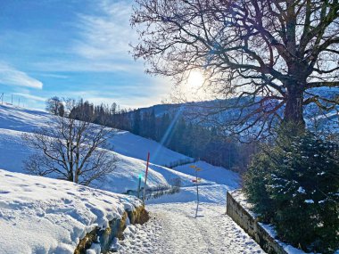Alpstein dağlarının tepesinde ve Obertoggenburg bölgesinde, Unterwasser - İsviçre 'nin St. Gallen Kantonu' nda (Schweiz)