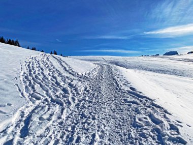 Alpstein dağlarının tepesinde ve Obertoggenburg bölgesinde, Unterwasser - İsviçre 'nin St. Gallen Kantonu' nda (Schweiz)