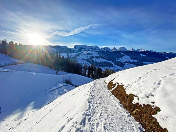 Underbara Vintervandringsleder Och Spår Det Färska Alpina Snötäcket Fjällmassivet Alpstein — Stockfoto
