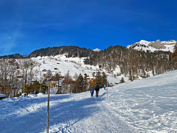 Magnifiques Sentiers Randonnée Hivernale Traces Sur Couverture Neige Fraîche Alpine — Photo