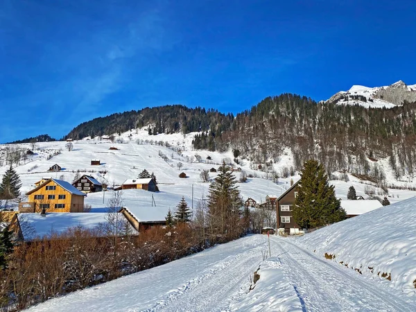 Maravillosas Rutas Senderismo Invierno Rastros Cubierta Nieve Alpina Fresca Del — Foto de Stock
