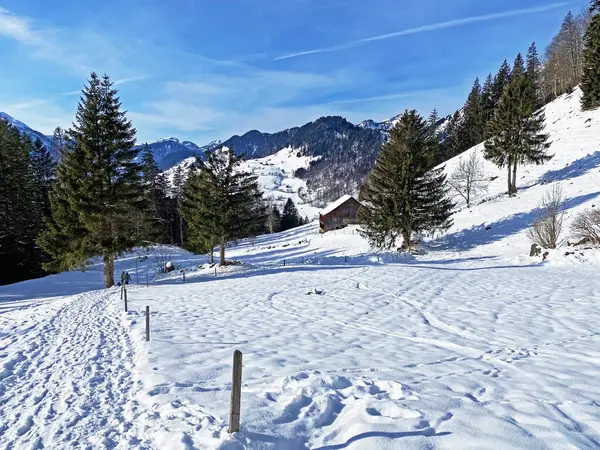 Maravillosas Rutas Senderismo Invierno Rastros Cubierta Nieve Alpina Fresca Del —  Fotos de Stock