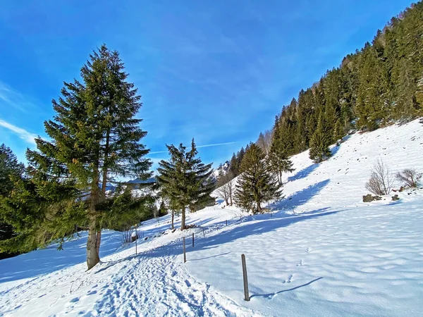 Wunderschöne Winterwanderwege Und Spuren Der Neuschneedecke Des Alpsteinmassivs Und Obertoggenburg — Stockfoto