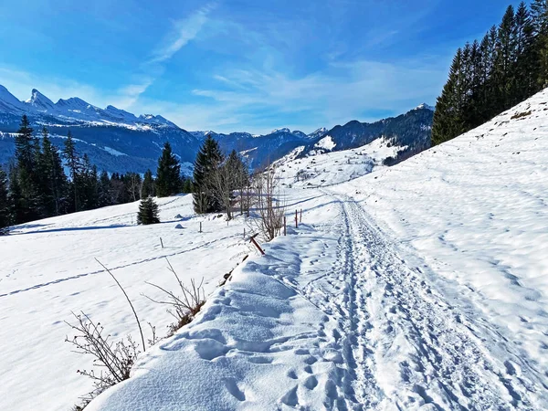 Maravillosas Rutas Senderismo Invierno Rastros Cubierta Nieve Alpina Fresca Del — Foto de Stock