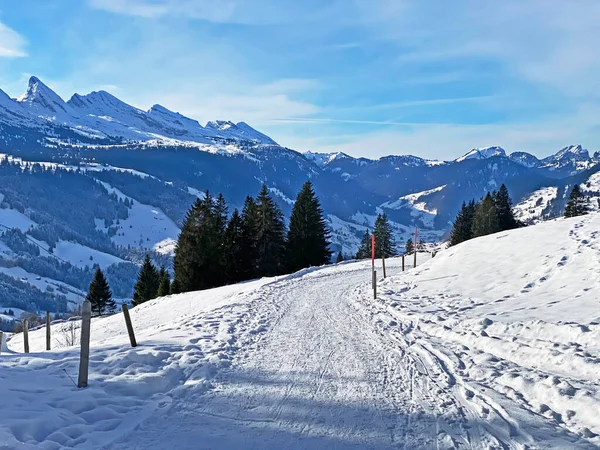 Maravillosas Rutas Senderismo Invierno Rastros Cubierta Nieve Alpina Fresca Del — Foto de Stock