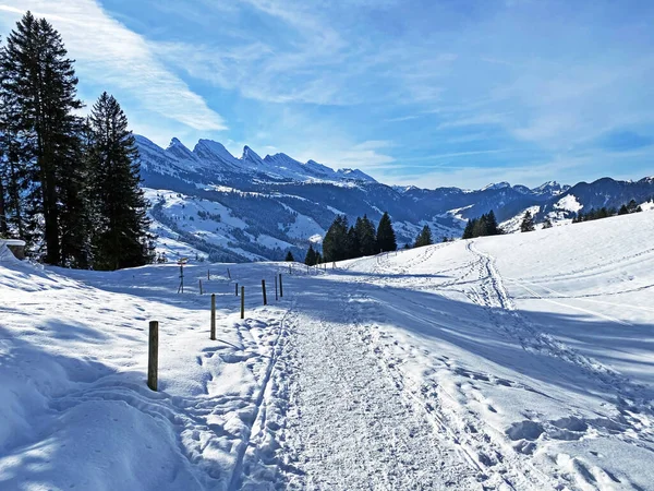 位于瑞士圣加仑州昂特瓦塞尔的阿尔普斯泰因山脉地块和奥伯托根堡地区的高山积雪覆盖上 冬季的远足小径和小径令人赞叹 — 图库照片