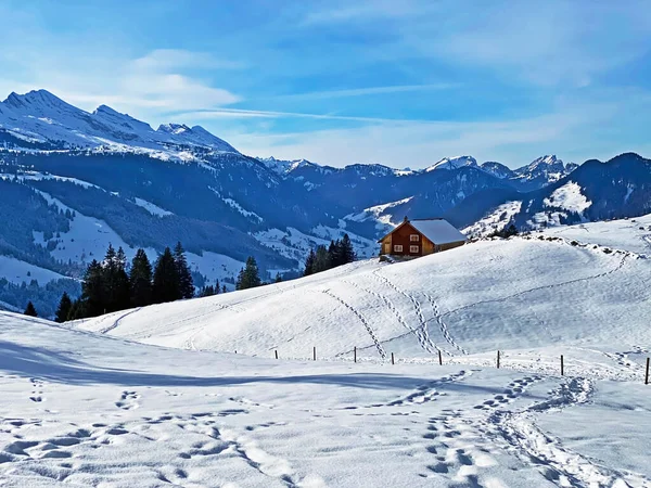 Meravigliosi Sentieri Escursionistici Invernali Tracce Sulla Fresca Copertura Alpina Del — Foto Stock