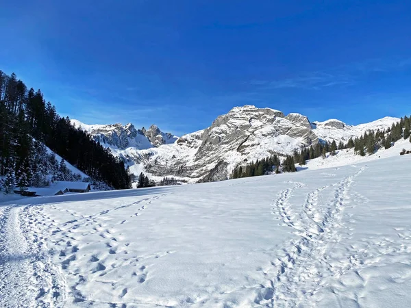 Meravigliosi Sentieri Escursionistici Invernali Tracce Sulla Fresca Copertura Alpina Del — Foto Stock