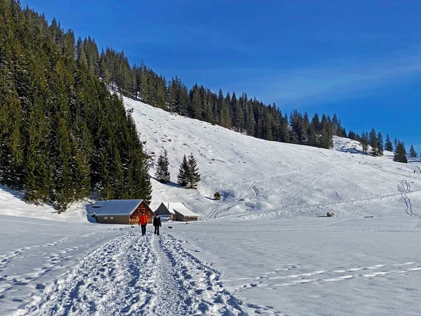 素晴らしい冬のハイキングコースとアルプシュタイン山塊の新鮮な高山雪のカバーとオーバートッゲンブルク地域での痕跡 Unterwasser カントン セント ガレン スイス スイス — ストック写真