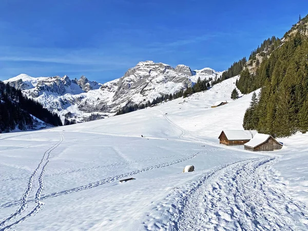 Wunderschöne Winterwanderwege Und Spuren Der Neuschneedecke Des Alpsteinmassivs Und Obertoggenburg — Stockfoto