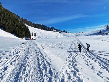 Yürüyüşçüler ve yürüyüşçüler Alpstein dağlarının güzel taze karları üzerinde ve Obertoggenburg bölgesinde, Unterwasser - İsviçre 'nin St. Gallen Kantonu (Schweiz)