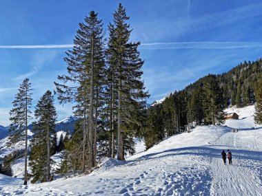 Yürüyüşçüler ve yürüyüşçüler Alpstein dağlarının güzel taze karları üzerinde ve Obertoggenburg bölgesinde, Unterwasser - İsviçre 'nin St. Gallen Kantonu (Schweiz)