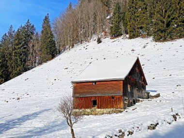 Idyllic Swiss alp dağ kulübeleri ve kışlık giysiler içinde geleneksel İsviçre kırsal mimarisi ve Obertoggenburg bölgesinde yeni bir kar örtüsü, Unterwasser - İsviçre 'nin St. Gallen Kantonu (Schweiz)