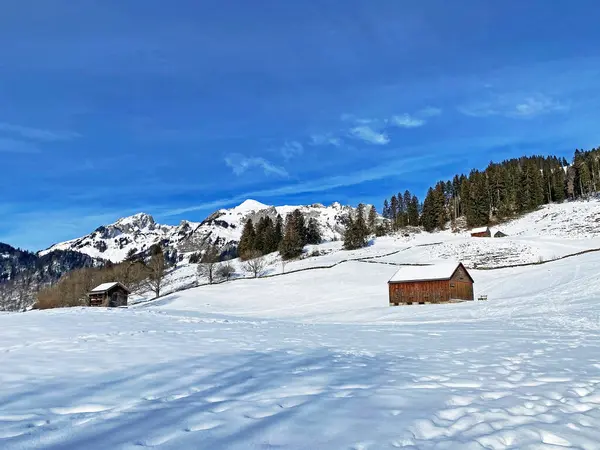 牧歌的なスイスの高山の山小屋と冬服を着た伝統的なスイスの農村建築と オーバートッゲンブルク地方の新鮮な雪のカバーで Unterwasser カントン セント ガレン スイス スイス — ストック写真