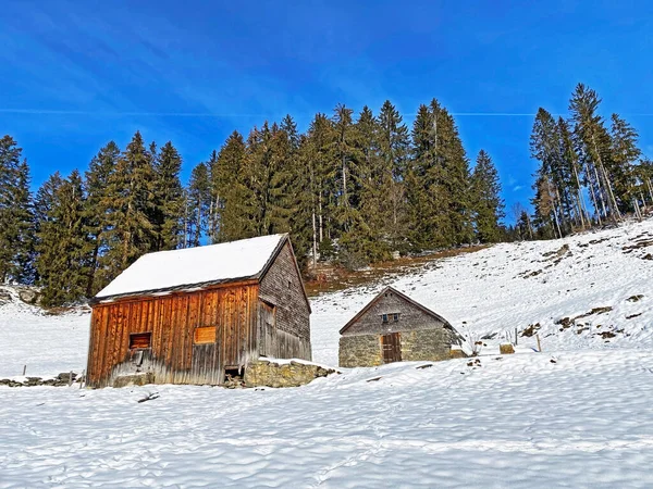 牧歌的なスイスの高山の山小屋と冬服を着た伝統的なスイスの農村建築と オーバートッゲンブルク地方の新鮮な雪のカバーで Unterwasser カントン セント ガレン スイス スイス — ストック写真