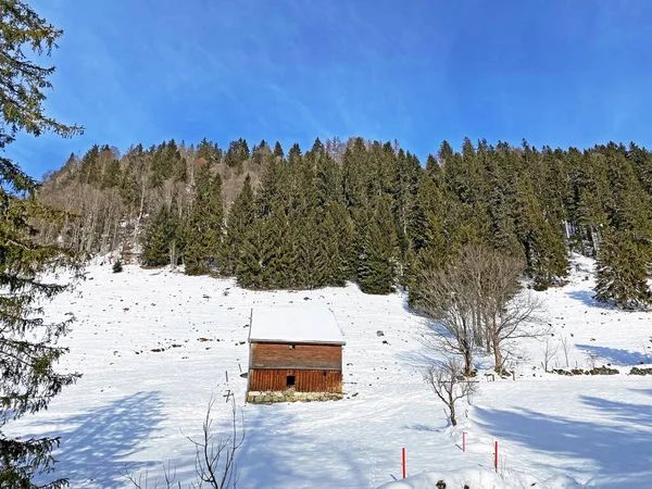 Cabanes Montagne Alpines Suisses Idylliques Architecture Rurale Suisse Traditionnelle Vêtues — Photo