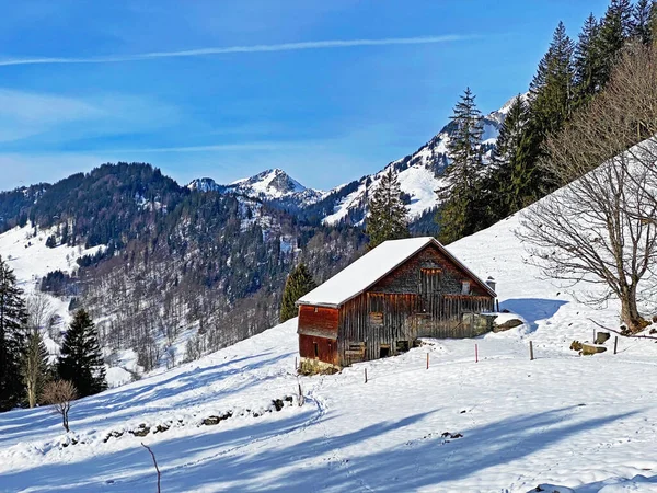 Idyllic Swiss Alpine Mountain Huts Traditional Swiss Rural Architecture Dressed — Fotografia de Stock