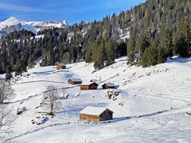 Idyllic Swiss alp dağ kulübeleri ve kışlık giysiler içinde geleneksel İsviçre kırsal mimarisi ve Obertoggenburg bölgesinde yeni bir kar örtüsü, Unterwasser - İsviçre 'nin St. Gallen Kantonu (Schweiz)