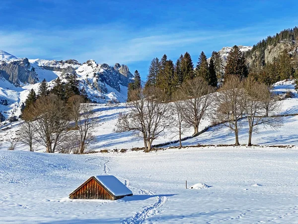 Idyllische Zwitserse Berghutten Traditionele Zwitserse Landelijke Architectuur Gekleed Winterkleding Een — Stockfoto