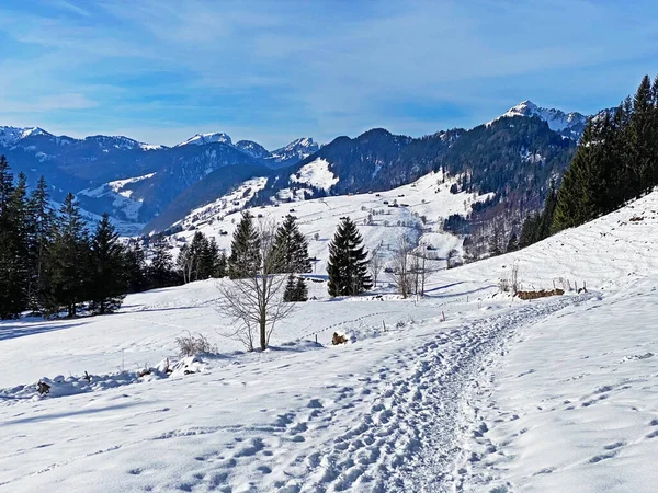 Wunderschöne Winterwanderwege Und Spuren Der Neuschneedecke Des Alpsteinmassivs Und Obertoggenburg — Stockfoto