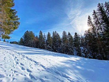 Alpstein dağlarının tepesinde ve Obertoggenburg bölgesinde, Unterwasser - İsviçre 'nin St. Gallen Kantonu' nda (Schweiz)