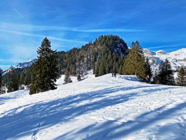 Alpstein dağlarının tepesinde ve Obertoggenburg bölgesinde, Unterwasser - İsviçre 'nin St. Gallen Kantonu' nda (Schweiz)