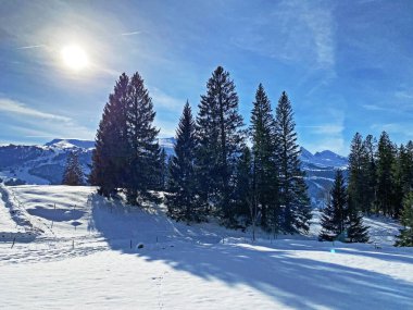 Alpstein dağlarının tepesinde ve Obertoggenburg bölgesinde, Unterwasser - İsviçre 'nin St. Gallen Kantonu' nda (Schweiz)