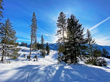 Alpstein dağlarının tepesinde ve Obertoggenburg bölgesinde, Unterwasser - İsviçre 'nin St. Gallen Kantonu' nda (Schweiz)