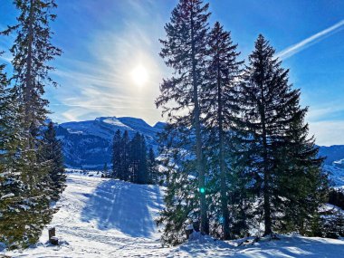 Alpstein dağlarının tepesinde ve Obertoggenburg bölgesinde, Unterwasser - İsviçre 'nin St. Gallen Kantonu' nda (Schweiz)