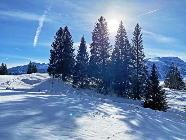 Magisk Lek Med Ljus Och Skugga Ett Rent Vitt Snötäcke — Stockfoto