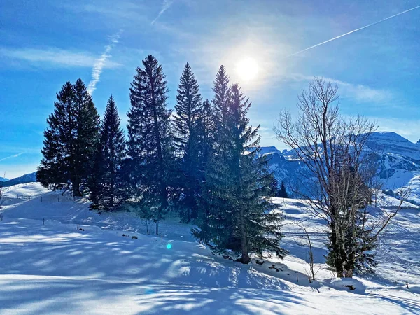 在瑞士圣加仑州昂特瓦塞尔市奥伯托根堡地区的阿尔普斯坦山脉地块上 一场白雪覆盖上的迷人的光影戏 施维兹 — 图库照片