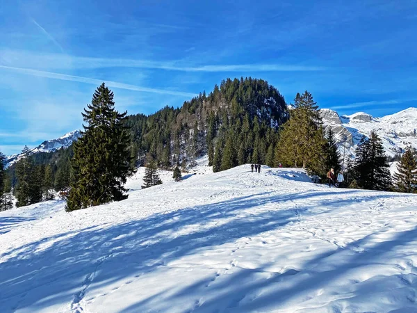 Kouzelná Hra Světla Stínu Čistě Bílé Sněhové Pokrývce Pohoří Alpstein — Stock fotografie