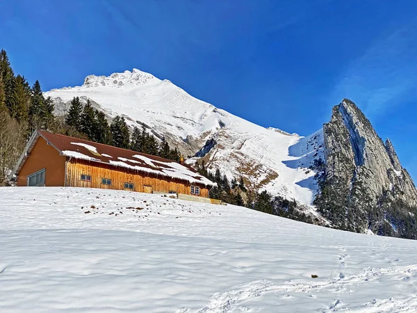 Winterstimmung Auf Dem Wildhuser Schofberg Alpsteinmassiv Und Appenzeller Alpenmassiv Kanton — Stockfoto