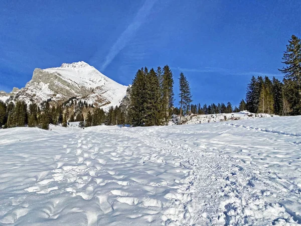 Atmosphère Hivernale Sur Pic Alpin Wildhuser Schofberg Dans Chaîne Montagnes — Photo