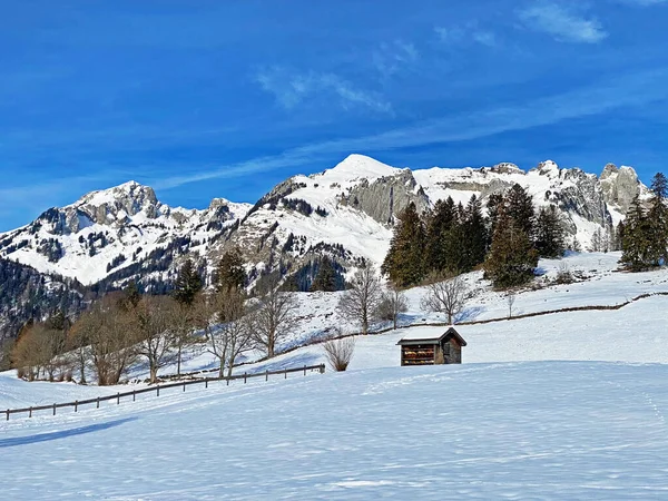 Winterschnee Auf Den Gipfeln Luetispitz Oder Lutispitz Schofwisspitz Und Schwarzchopf — Stockfoto