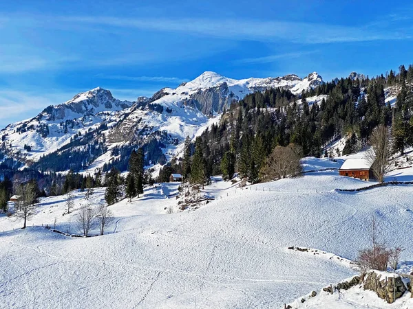 Зимний Снег Альпийских Вершинах Luetispitz Lutispitz Schofwisspitz Schwarzchopf Горах Альпштейна — стоковое фото