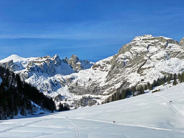 Nieve Blanca Inocente Los Picos Alpinos Schofwisspitz Schwarzchopf Stoss Cordillera — Foto de Stock