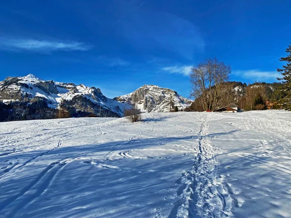 瑞士圣加仑州Alpstein山脉的Schofwisspitz Schwarzchopf和Stoss高山山峰和Ashzell阿尔卑斯山地块上的白雪清澈无瑕 — 图库照片