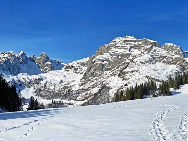 Pure white snow on alpine peaks Schwarzchopf and Stoss in Alpstein mountain range and in Appenzell Alps massif, Unterwasser - Canton of St. Gallen, Switzerland (Schweiz)