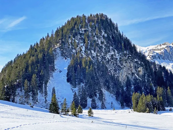 Зимова Обкладинка Альпійському Пагорбі Stein Alpstein Mountain Range Appenzell Alps — стокове фото