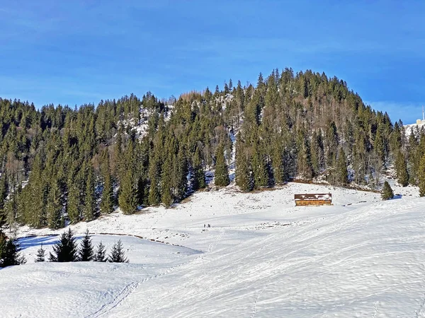 Téli Borítás Egy Alpesi Dombon Stein Alpok Hegység Appenzell Alpok — Stock Fotó