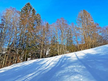 Obertoggenburg bölgesi, Unterwasser - İsviçre 'nin St. Gallen Kantonu (Schweiz)
