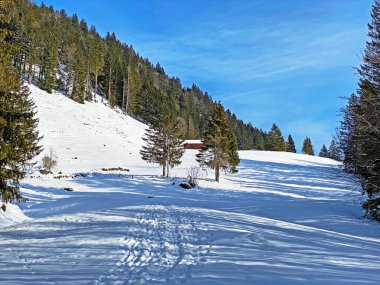 Obertoggenburg bölgesi, Unterwasser - İsviçre 'nin St. Gallen Kantonu (Schweiz)