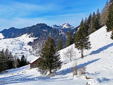 Obertoggenburg bölgesi, Unterwasser - İsviçre 'nin St. Gallen Kantonu (Schweiz)