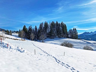 Obertoggenburg bölgesi, Unterwasser - İsviçre 'nin St. Gallen Kantonu (Schweiz)